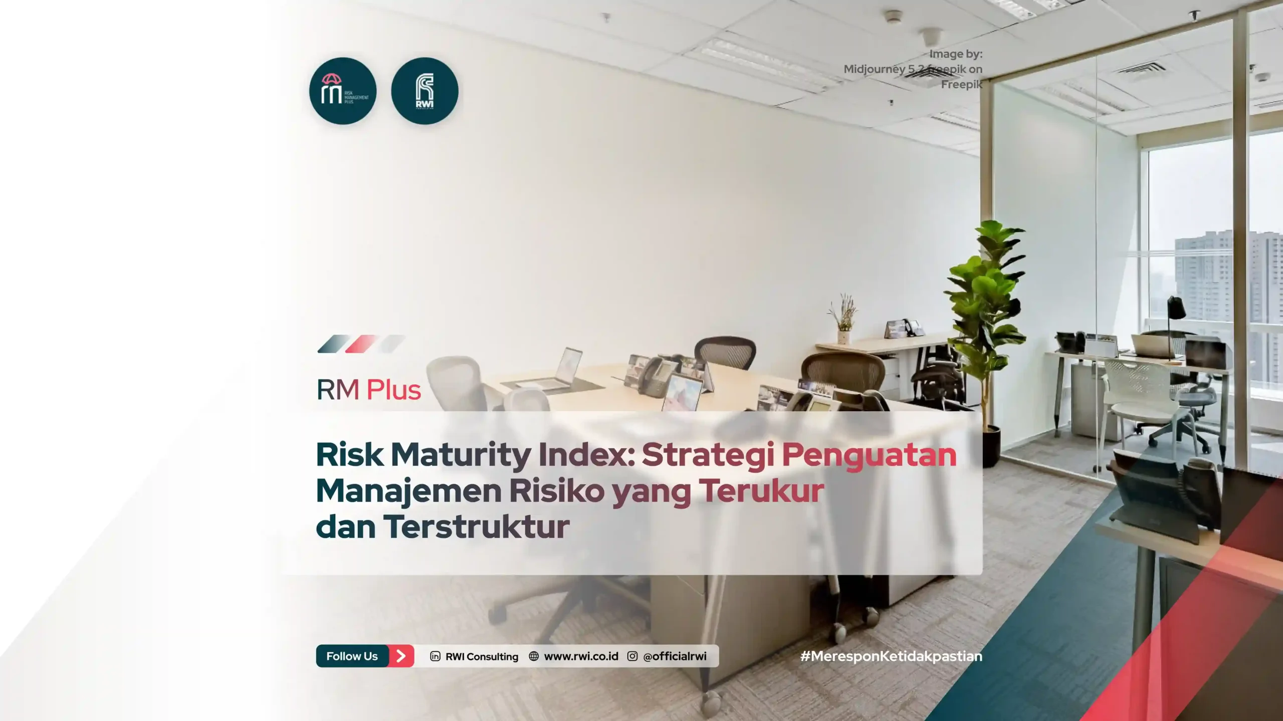 Risk Maturity Index