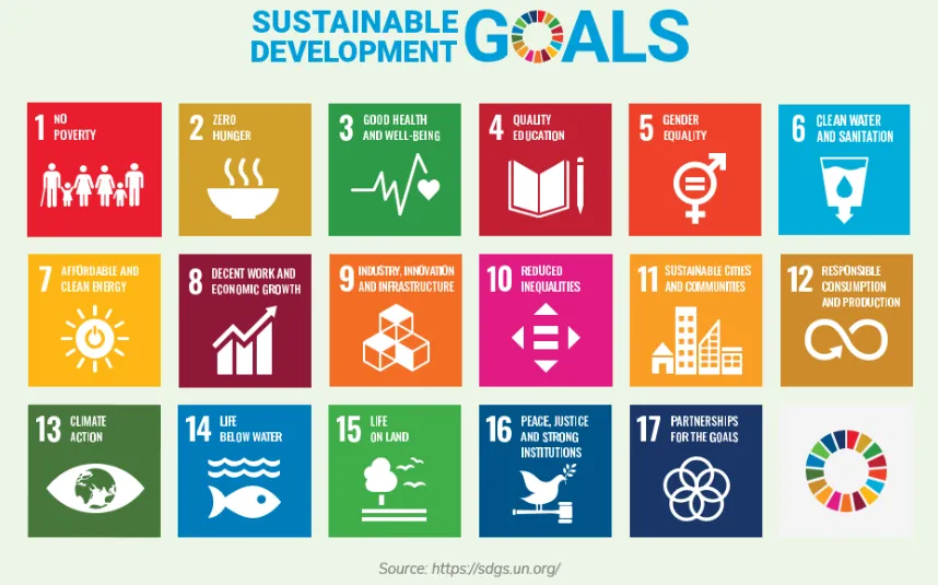 17 SDGs