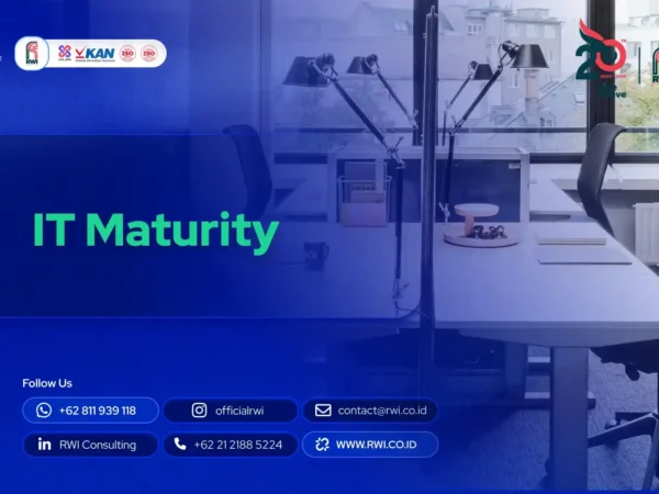 IT Maturity