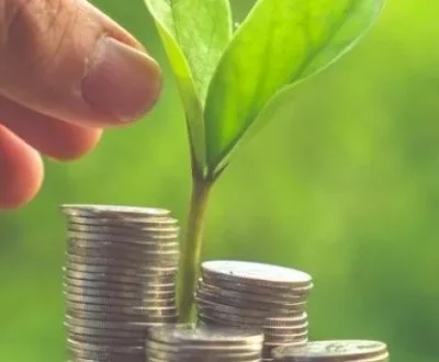 Carbon Credit: Quality, Due Diligence, Project Readiness, MRV, dan Strategi Perusahaan