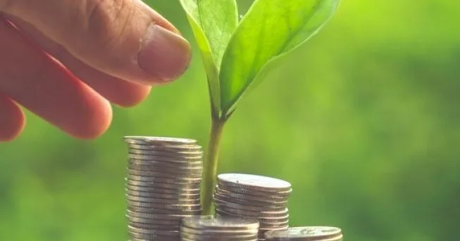 Carbon Credit: Quality, Due Diligence, Project Readiness, MRV, dan Strategi Perusahaan