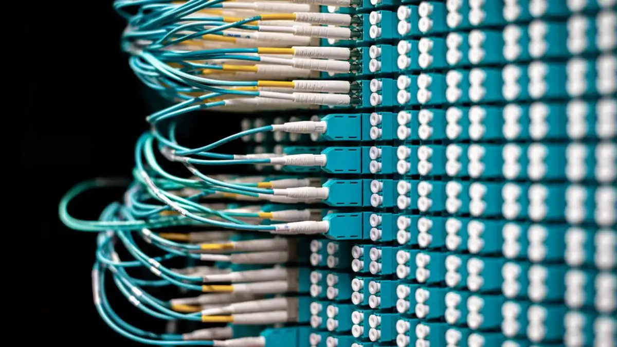 Kedekatan kabel serat optik yang tertata rapi dalam panel patch pusat data.