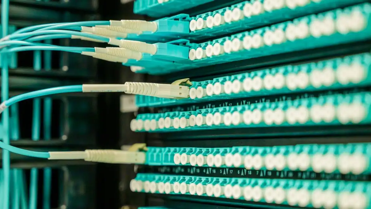 Kabel jaringan yang dicolokkan ke panel patch, menampilkan konektivitas pusat data.